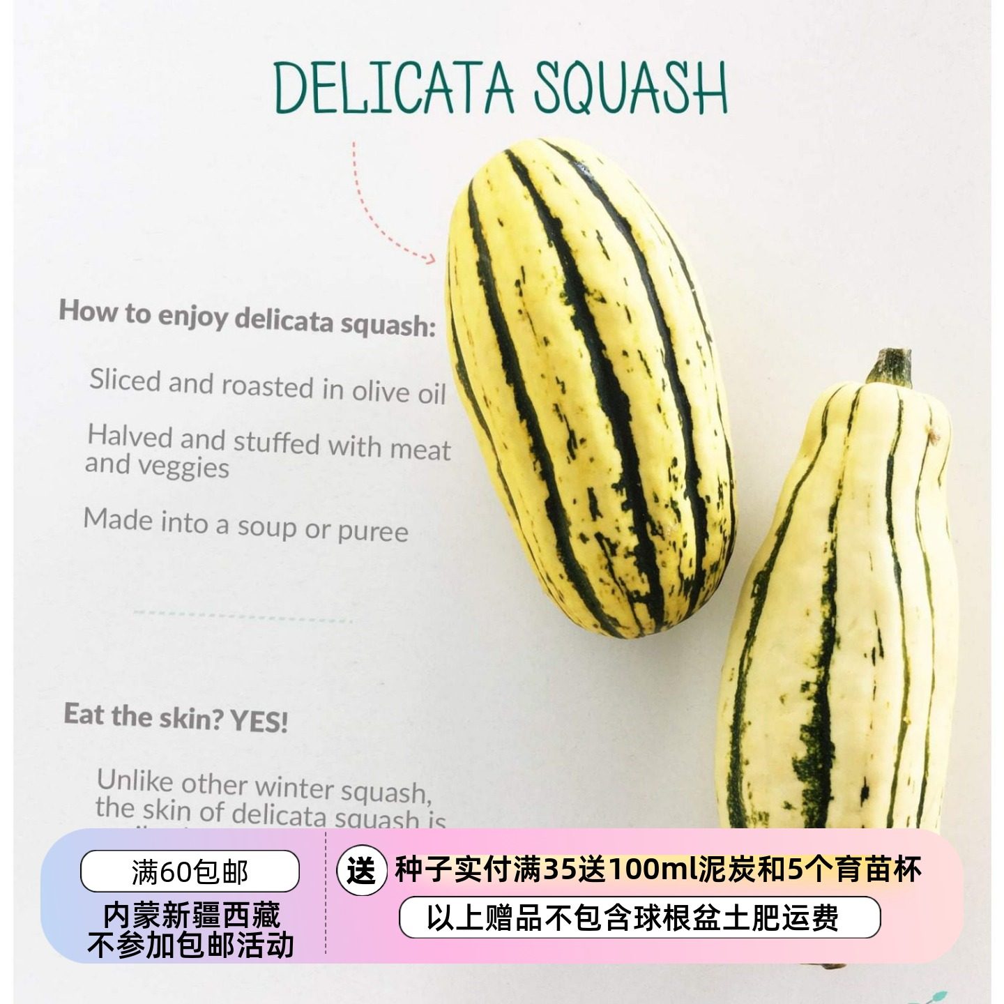 【种子】超-甜坚果味儿 红薯南瓜 Delocata 5粒