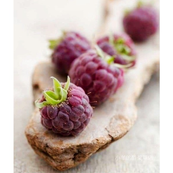 疯狂的小羊紫红树莓5粒