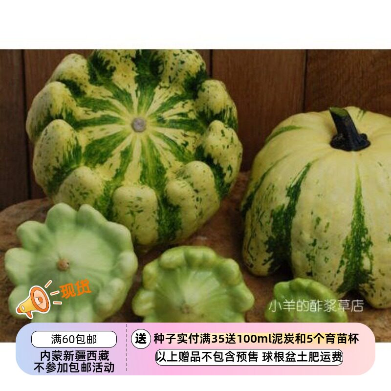 【种子】法国传家宝  嫩西葫芦 奶油绿色 5粒