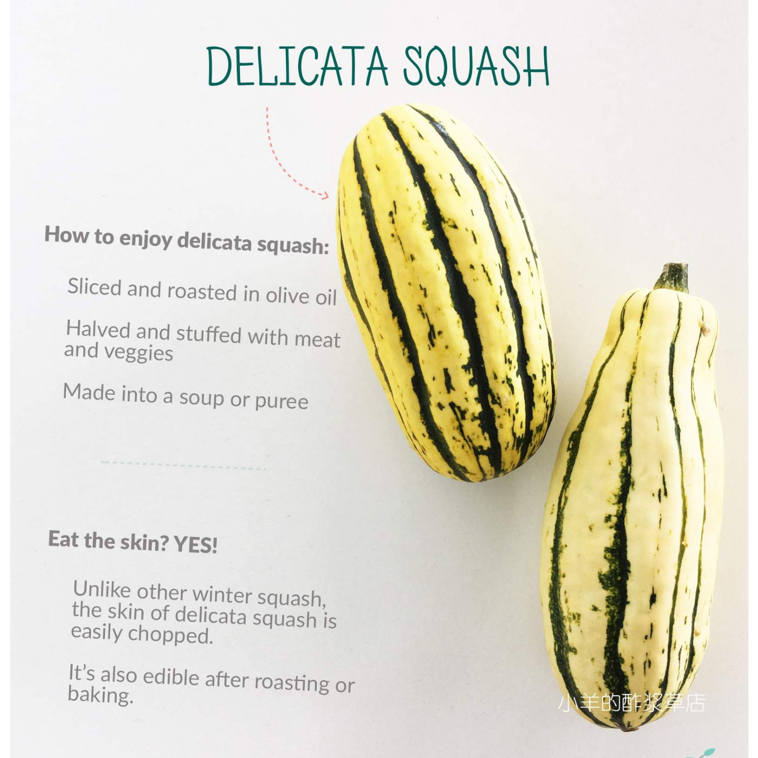 【种子】超-甜坚果味儿 红薯南瓜 Delocata 5粒