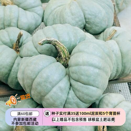 【种子】澳大利亚传家宝 观赏/食用 三叶草南瓜 3粒