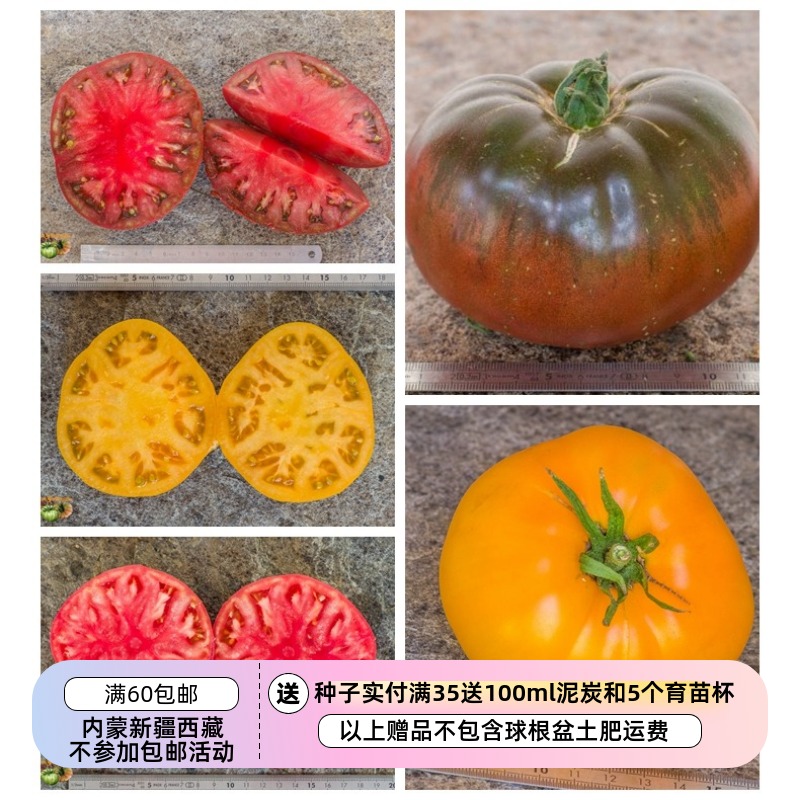 进口传家宝种子白兰地西红柿