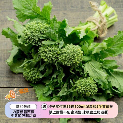 【种子】意大利传家宝  花茎和叶均可食用 皱叶早生西兰花苔 10粒