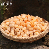 湛江特级大瑶柱干贝干货500g新鲜野生无盐淡干扇贝丁宝宝开洋辅食