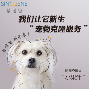 犬专业医院推荐 宠物狗狗克隆犬DNA克隆活体基因一样