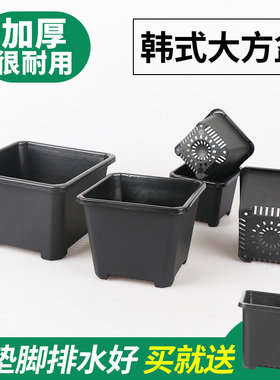 高宅多肉花盆景天小方盆塑料小黑方加厚育苗盆花卉绿植鲜花简约