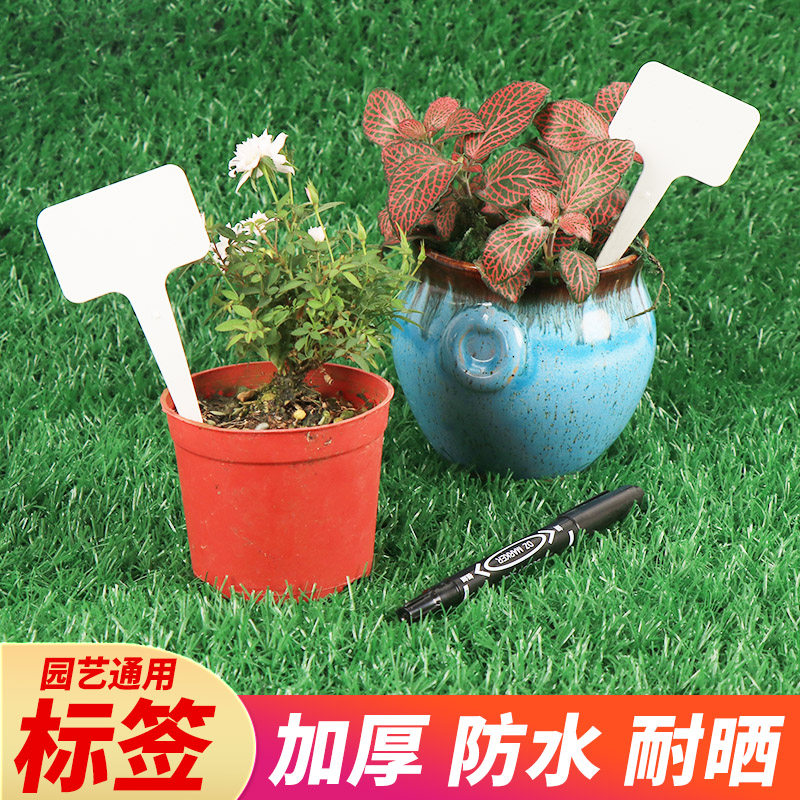兰花园艺多肉标签牌园艺植物花名花盆塑料标签防水小插牌盆栽标签
