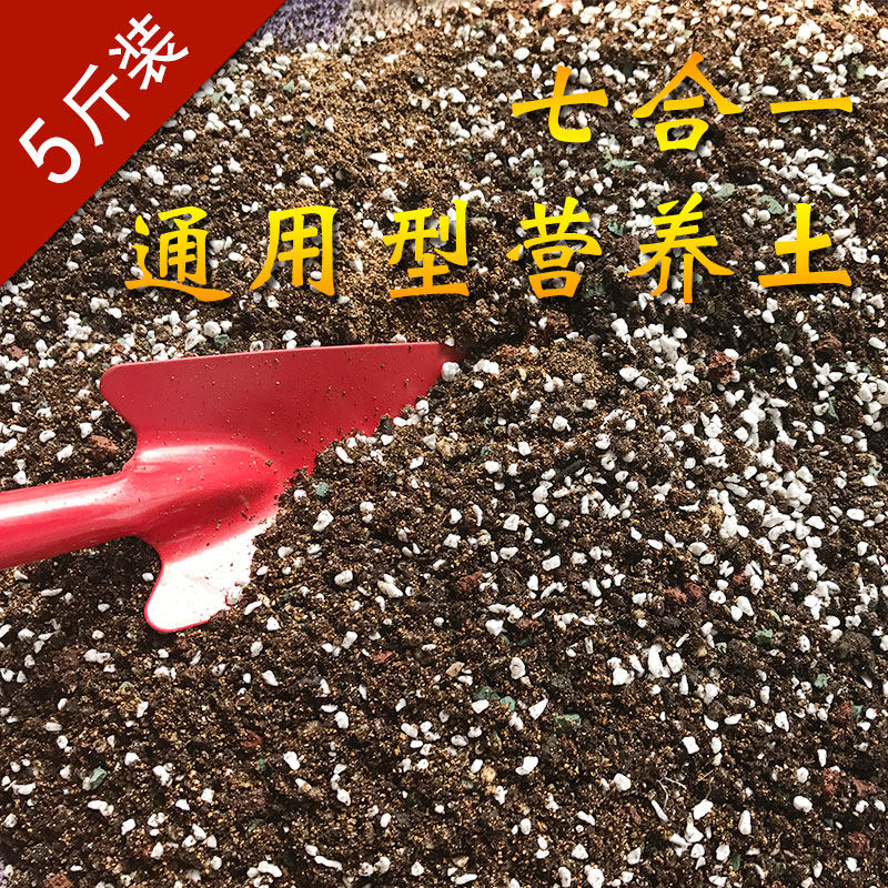 兰花苗植料营养土养花育苗肉肉通用土盆栽绿萝土多肉细根专用土