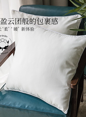 抱枕枕芯 靠枕靠垫枕芯靠垫芯子 白色方形抱枕芯