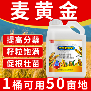 麦黄金小麦高产叶面肥增产专用套餐分蘖宝分蘖灌浆增产剂水溶肥