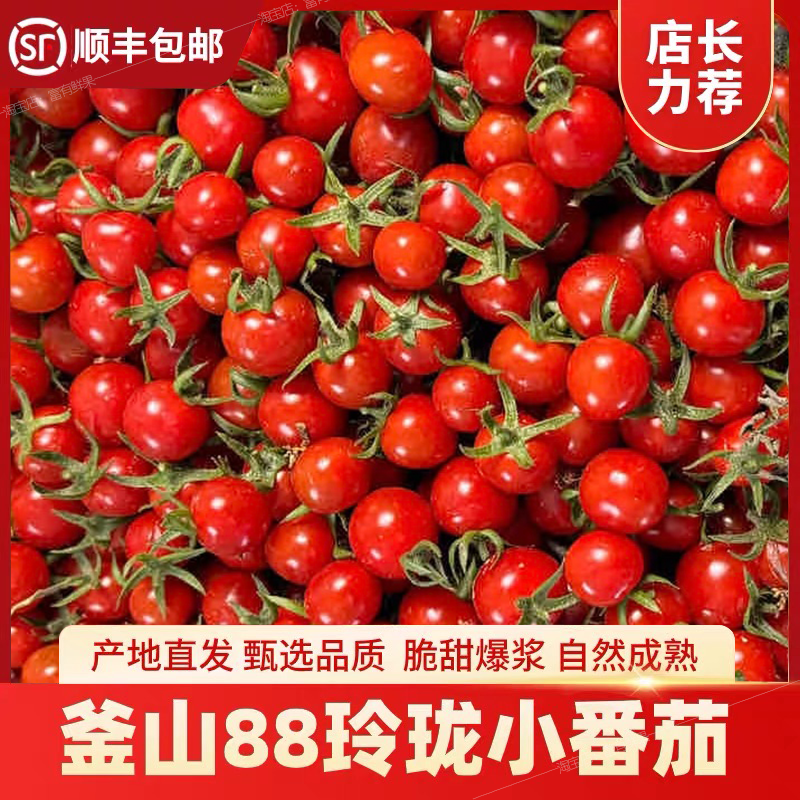 正宗釜山88玲珑果小番茄爆汁千禧超甜圣女果新鲜水果小西红柿整箱