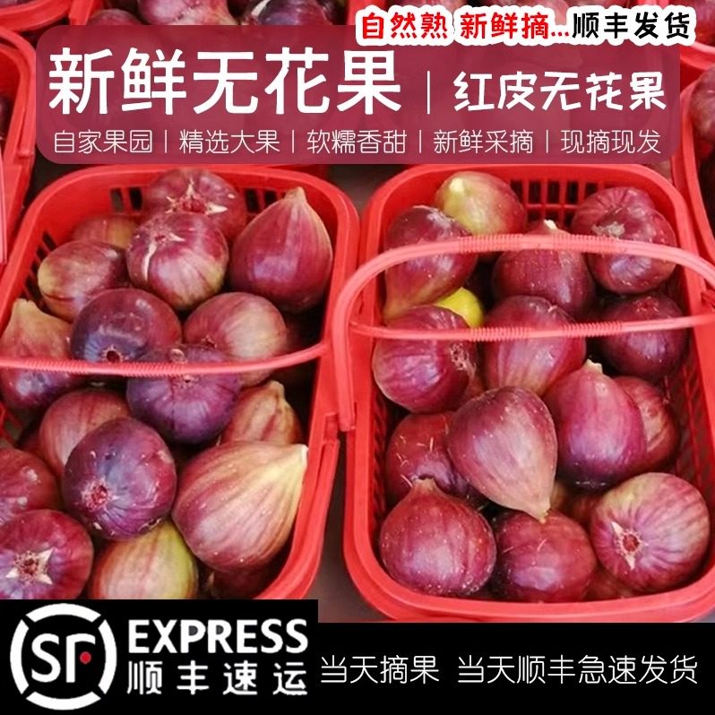 顺丰云南无花果新鲜现货精选大果甜糯糖包子孕妇水果应季新鲜水果,水产肉类/新鲜蔬果/熟食,无花果,淘宝优惠券,粉丝福利购,淘宝优惠卷