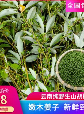 云南新鲜山胡椒现摘野生新鲜木姜子可泡可酱食用四川贵州特产现货