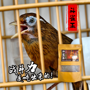 斗雀王 手工画眉鸟食画眉鸟饲料  唱鸟斗鸟料提性壮膘专用料