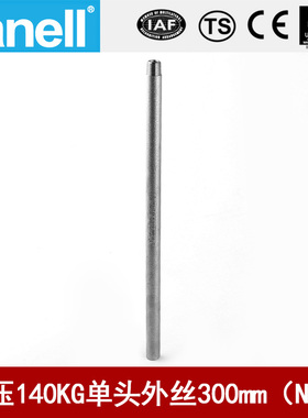 单头管外丝NPT300长140KG高压管件Sch80焊接304316L天佑管业11685