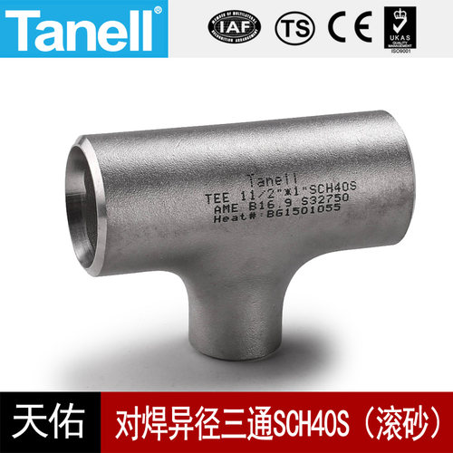 对焊变径三通Sch40STANELL316