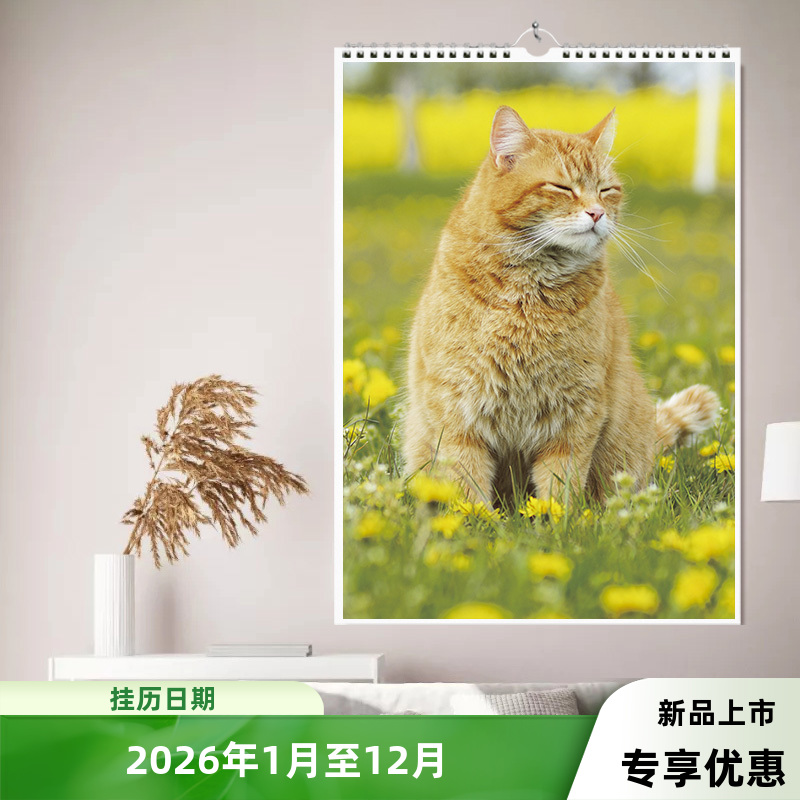 2026萌宠国宝熊猫月历定做中国风