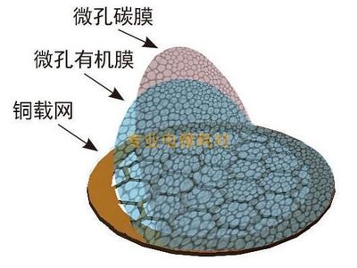 200/230/300目国产铜网普通微栅碳支持膜TEM载网透射电镜带微孔膜