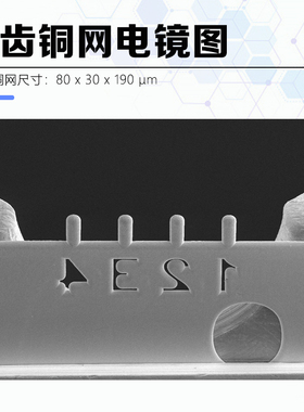 国产FIB铜网钼网 FIB Lift-Out TEM Grids载网FIB实验耗材