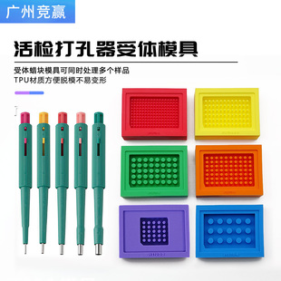 Miltex锋利不锈钢组织穿孔器BiopsyPunch组织芯片TMA受体模具