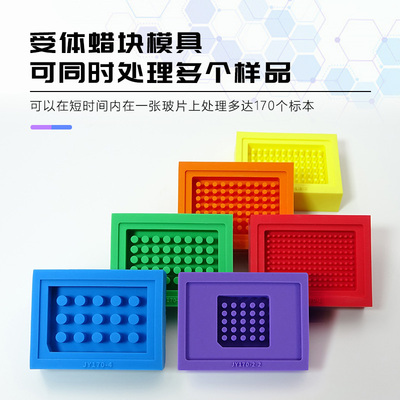 TMA受体蜡块组织芯片模具 空间转录 空间组学 石蜡块组织芯片模具