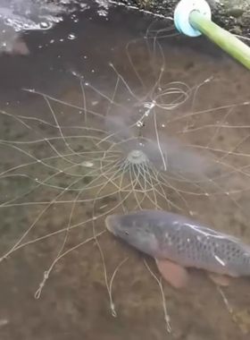钓鱼神器黑科技打窝自动开合