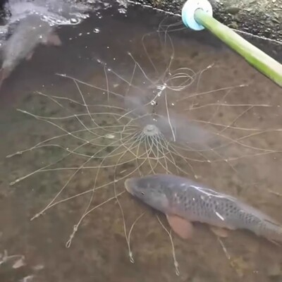 钓鱼神器黑科技打窝自动开合