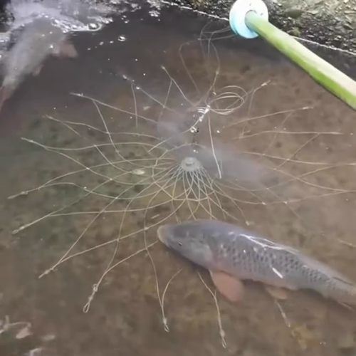 钓鱼神器黑科技打窝自动开合