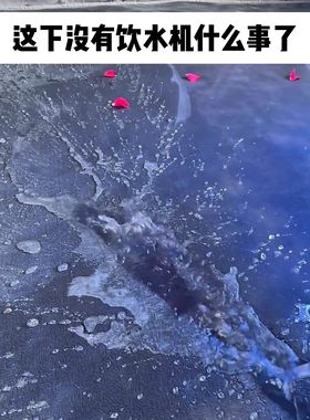 防水法兰绒毛毯加厚情侣防水床垫