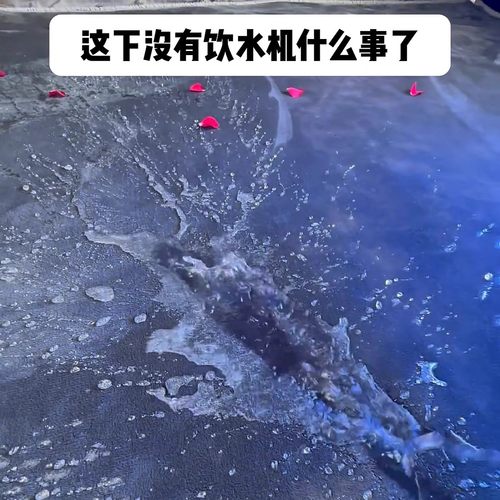 防水法兰绒毛毯加厚情侣防水床垫