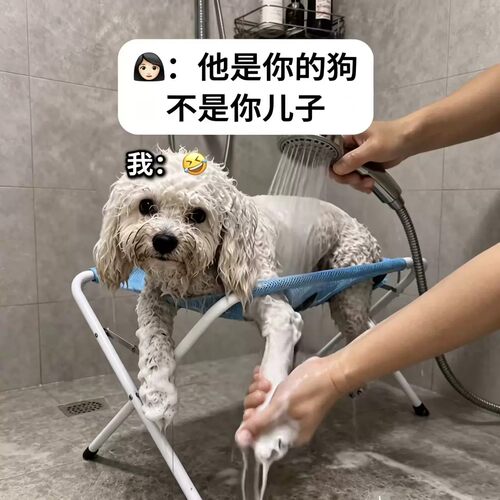 狗狗洗澡神器折叠架子猫剪指甲