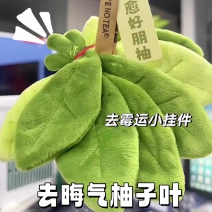 柚子叶去晦气挂饰挂件去霉运钥匙扣创意毛绒车挂包包挂饰送朋友