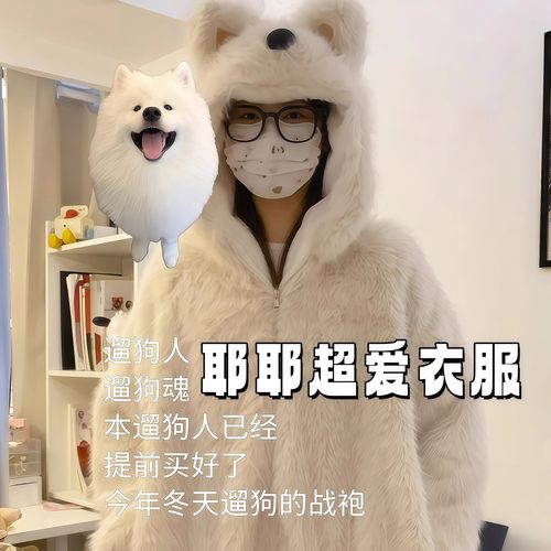 西高地小狗毛绒外套萨摩耶超喜欢