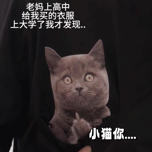 小猫竖中指t恤短袖搞怪抽象短袖