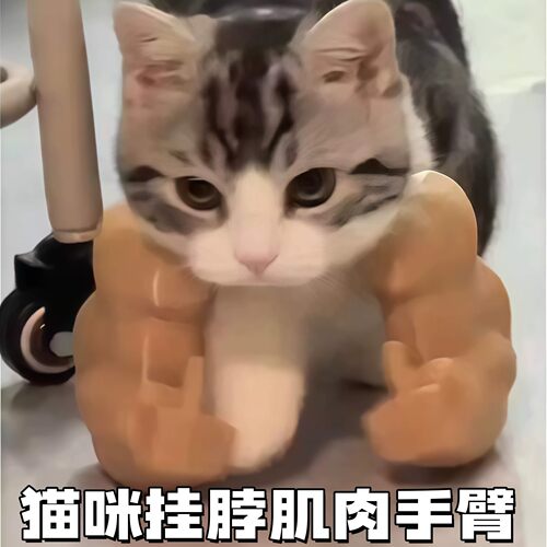 猫咪竖中指肌肉浩克手臂绿巨人