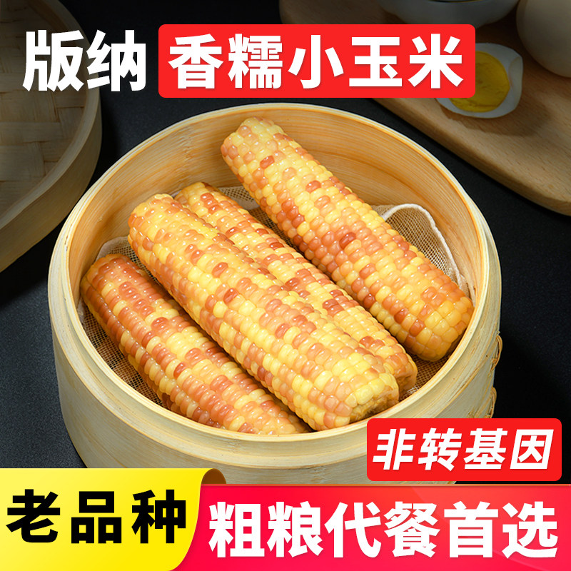 西双版纳小花糯玉米即食真空装