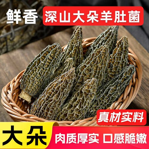 云南特产正品羊肚菌干货500g