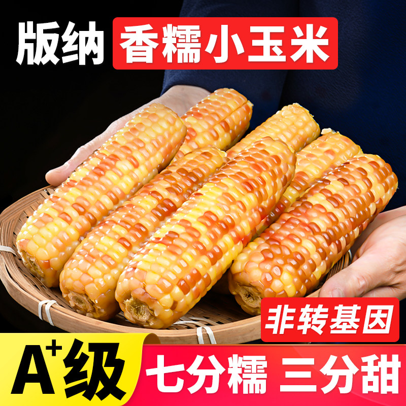 非转基因云南西双版纳香糯小玉米