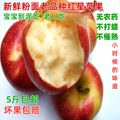 粉面沙苹果宝宝刮泥老人吃苹果