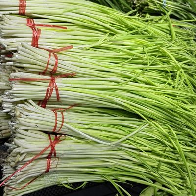 东北新鲜蔬菜蒜苗头茬蒜苗农家自种新鲜发货可炒菜包馅吉林发货