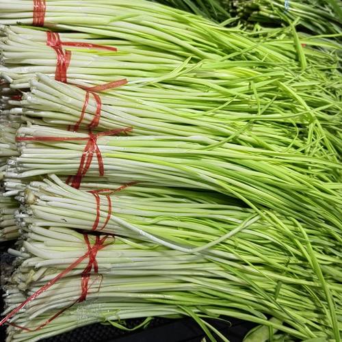 东北新鲜蔬菜蒜苗头茬蒜苗农家自种新鲜发货可炒菜包馅吉林发货