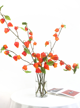 NA家花房仿真酸浆果灯笼花秋色红色果垂吊假花植物瓶花套装装饰品