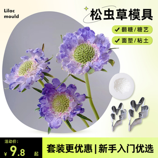 松虫草切压模具 仿真花卉脉络纹路面塑粘土糖艺捏塑硅胶花纹磨具