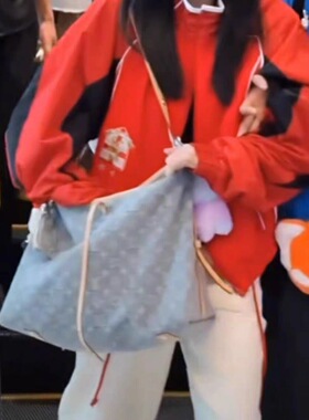 carryall购物袋白鹿单宁灰老花包法棍包牛角包nano枕头包speedy包