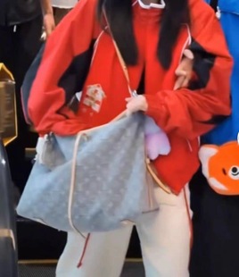 carryall购物袋白鹿单宁灰老花包法棍包牛角包nano枕头包speedy包