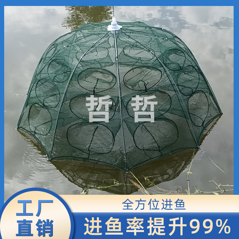 30孔大号伞笼折叠捕鱼神器进不出