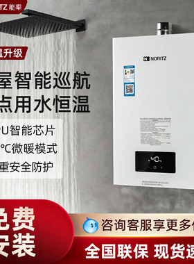 能率E3/EW3/EA2/P9/JD01燃气热水器13升16升家用天然气强排式恒温