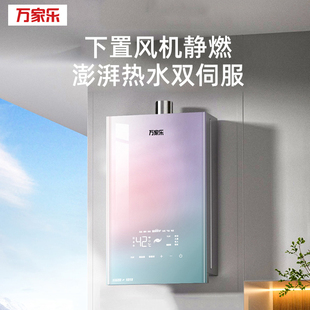 万家乐16升JSQ30-16RG1燃气热水器家用厨房智能恒温天然气强排式