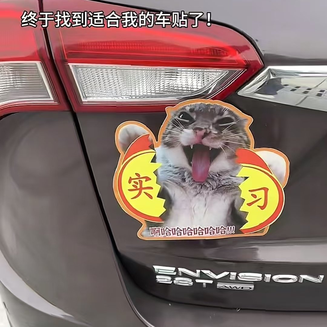 创意猫咪搞笑车贴猫咪撕烂实习贴磁贴反光汽车装饰车尾提示警告贴