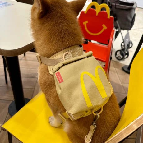 狗狗自背包宠物柴犬外出书包零食便携包泰迪中小型犬牵引绳胸背带